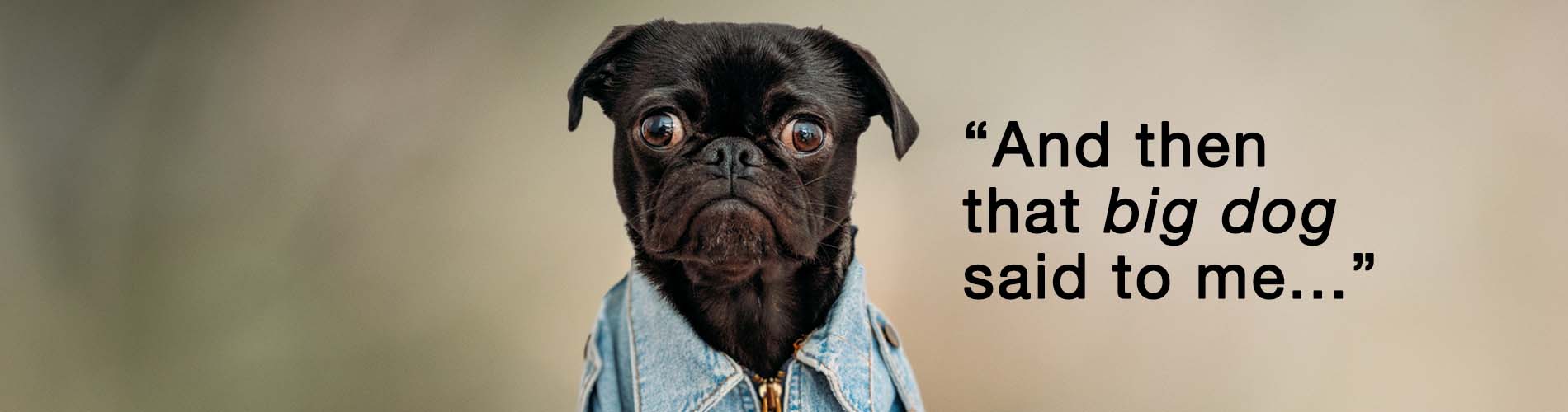 Marcia Schafer teaches petcommunication