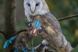alien-and-owl2022-crop.jpg alien-and-owl2022-crop.jpg