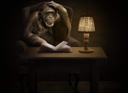 chimpanzee-reading booknext to lamp chimpanzee-reading booknext to lamp